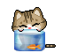 :rybka: