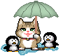 :parasol: